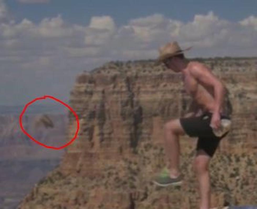 Some Idiot Kicked a Squirrel Off the Edge of the Grand Canyon