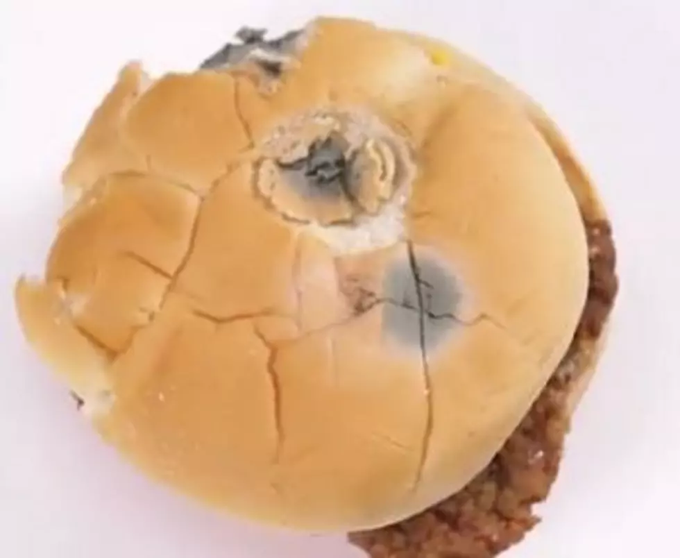 Check Out How Long It Takes Seven Restaurant Burgers to Get Moldy [VIDEO]