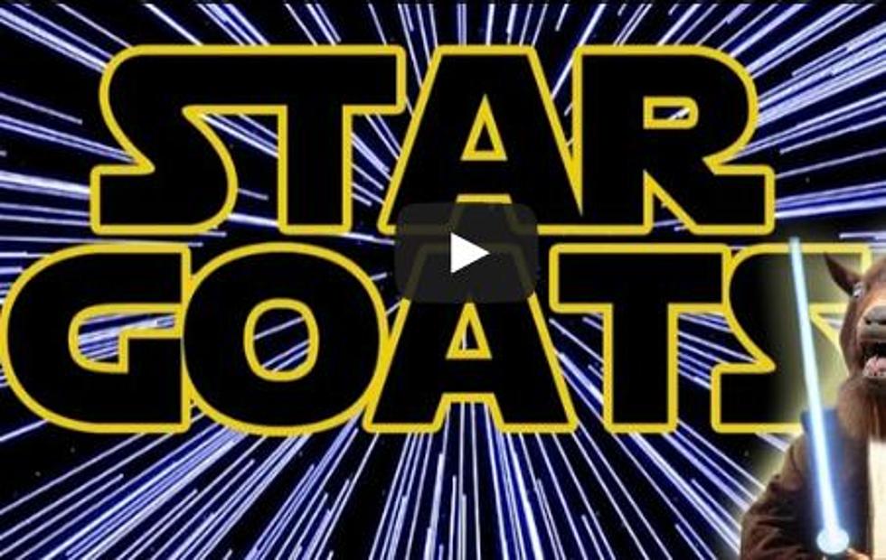 Goats Screaming &#8216;The Imperial March&#8217; from &#8216;Star Wars&#8217; [VIDEO]