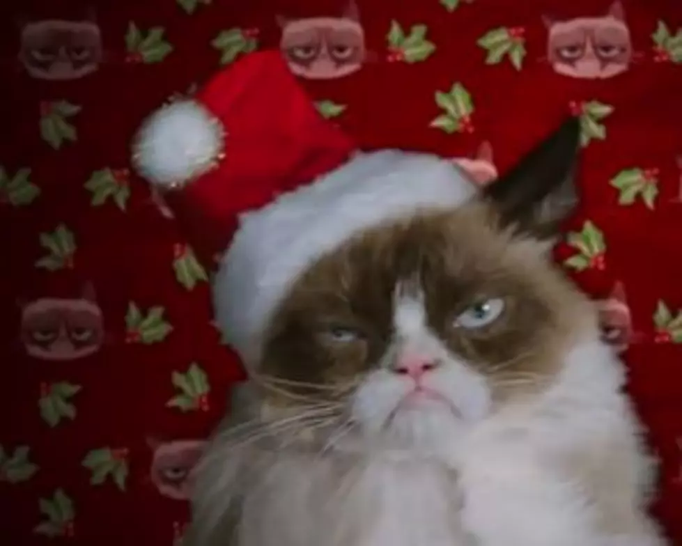 Here&#8217;s the Trailer for the Grumpy Cat Christmas Movie [VIDEO]