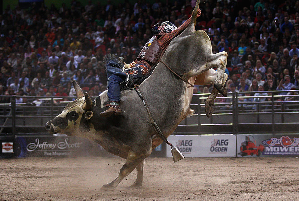 LRCA Finals Rodeo Returns to the 112th State Fair of Louisiana!