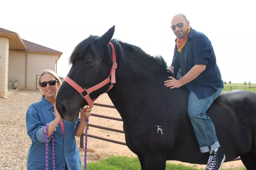 New Jersey Meets West Texas When a Yankee Rides a 2,000-lb Horse [Video]