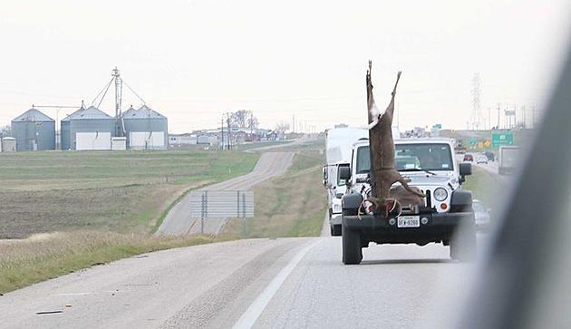 Texas Man Transports 200-lb Deer in Most Unconventional Way Possible [Photo]