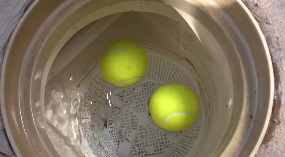 This Is Why People Throw Tennis Balls in Their Pools [VIDEO]