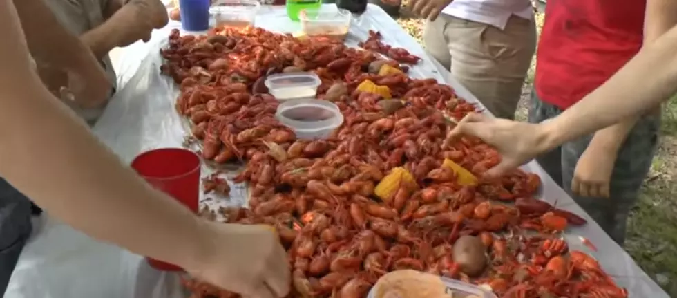 Rockfish Seafood Grill Is Crawfish Boiling This Week [VIDEO]