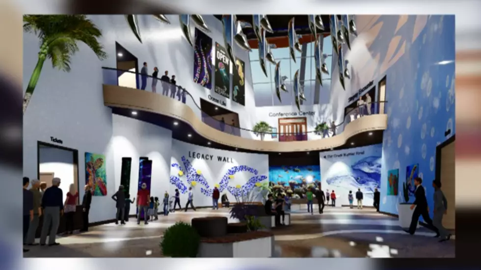 Check Out the New Possible Designs for the Lubbock Aquarium Building [VIDEO]
