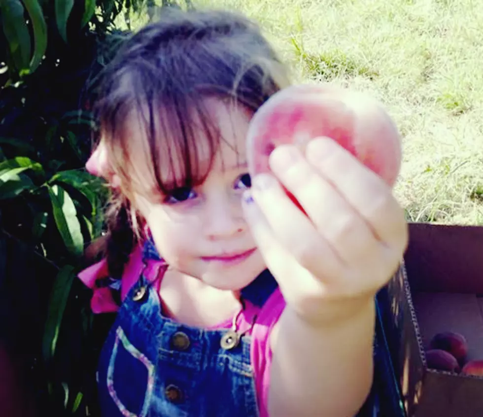 Did You Know There’s a Peach Farm in Lubbock? It’s True!