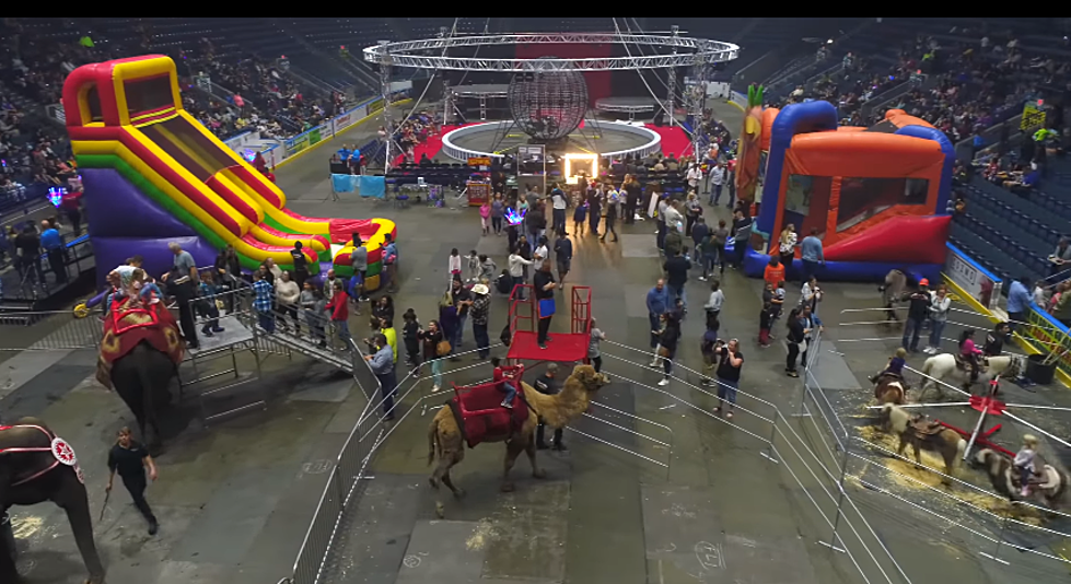 The Circus Is Coming to Lubbock [VIDEO]