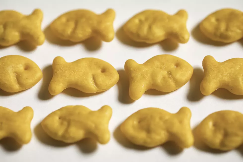 Pepperidge Farm Issues Recall On Certain Goldfish Flavors Over Salmonella Concerns