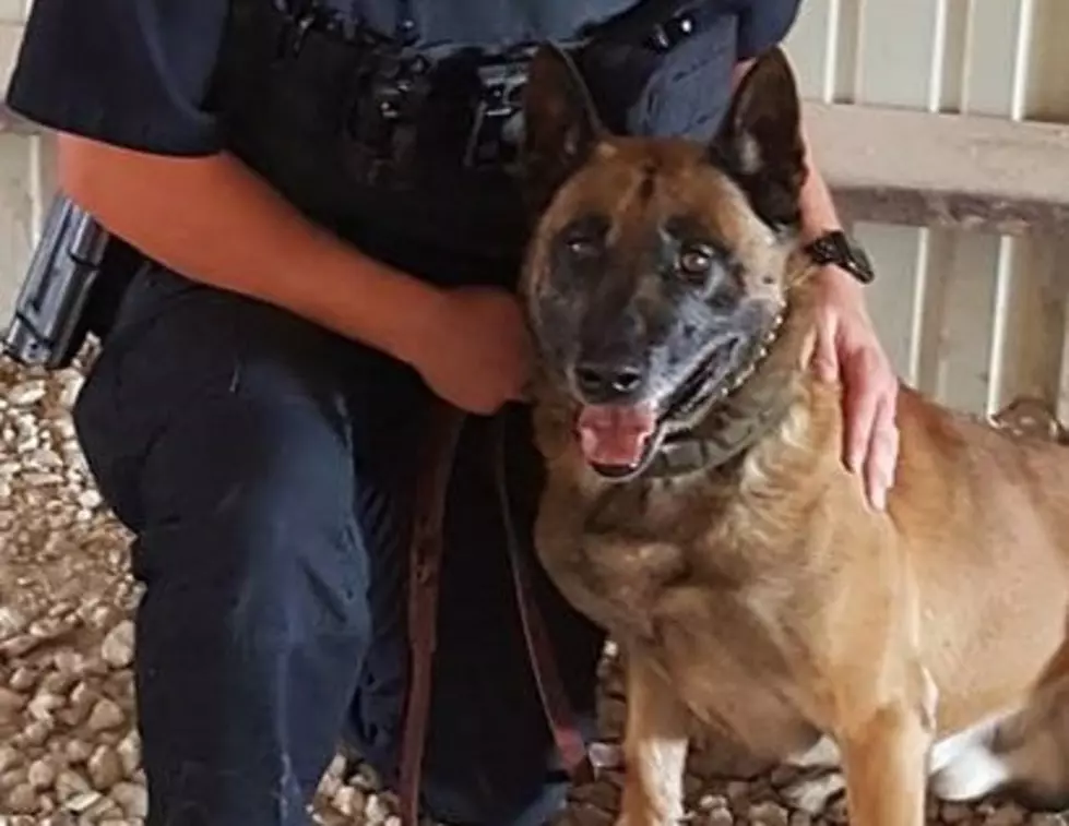 One of the Lubbock Police Department’s Finest K9s Is Retiring [Photos]