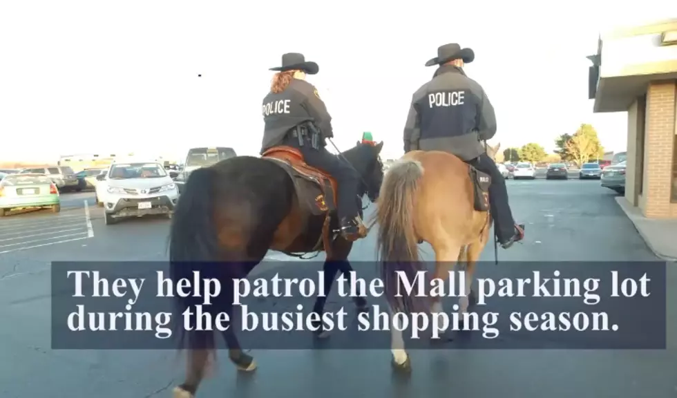 [VIDEO] LPD Is Patrolling The Mall Parking Lot On Horseback To Stop Christmas Thieves