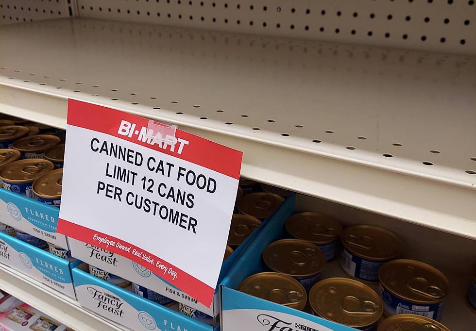 Will a Disturbing Food Crisis Create Anxiety Among Lubbock Pet Lovers?