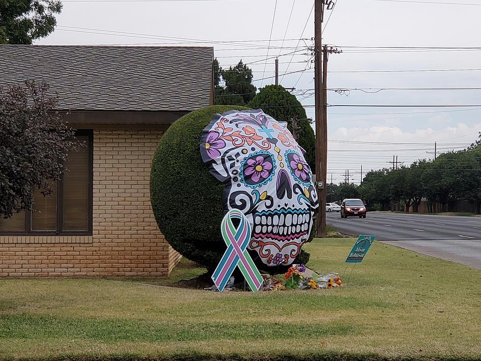 Lubbock's Famed Smiling Bush Gets a Sugary Holiday Makeover