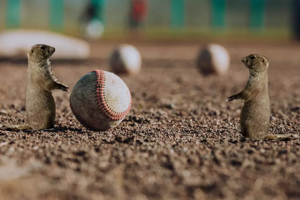 Play Ball! Is It Time to Bring Major League Baseball to Lubbock?