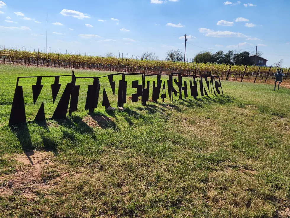We Found a Hidden Paradise for West Texas Wine Lovers in Brownfield