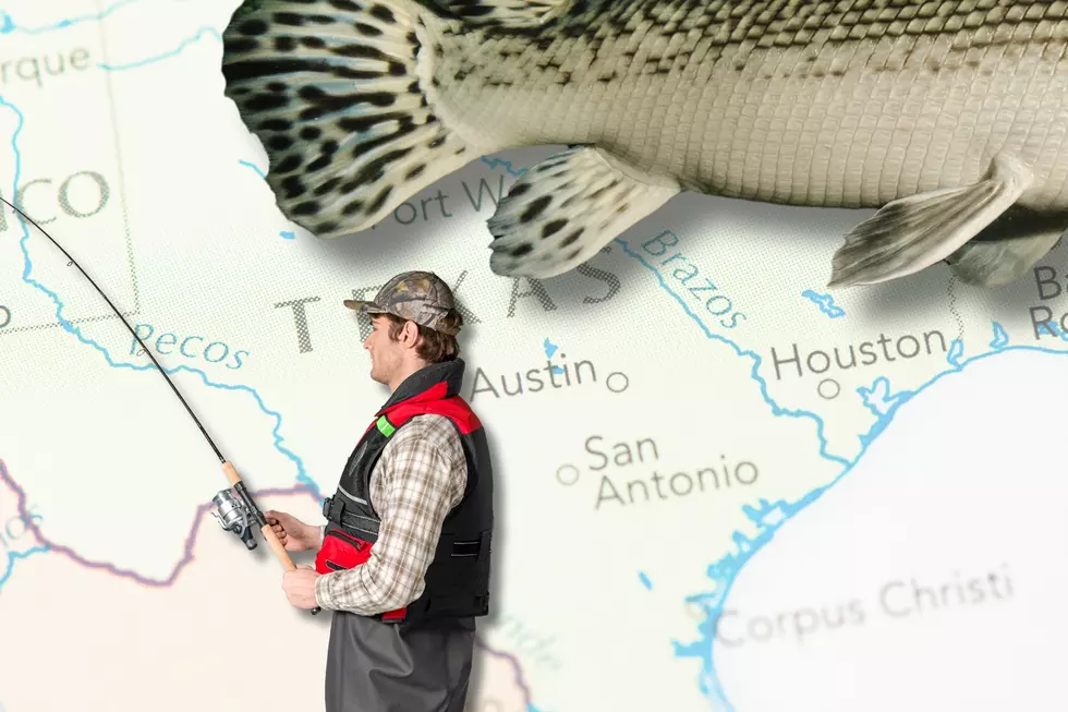 Can You Guess The Biggest Fish Ever Caught in Texas?