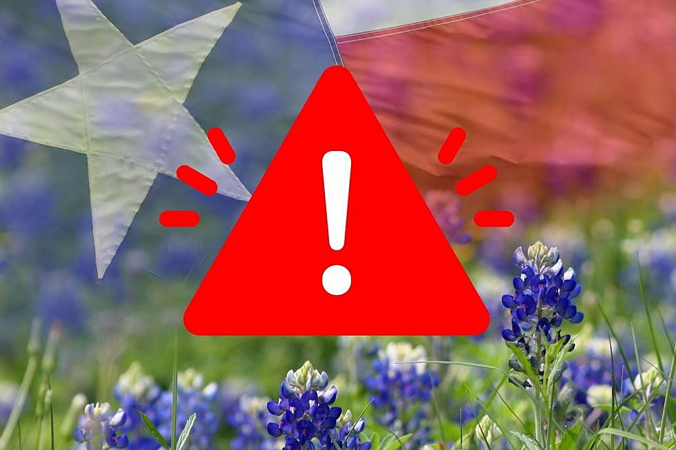 Five Dangerous Things About Summer in Texas