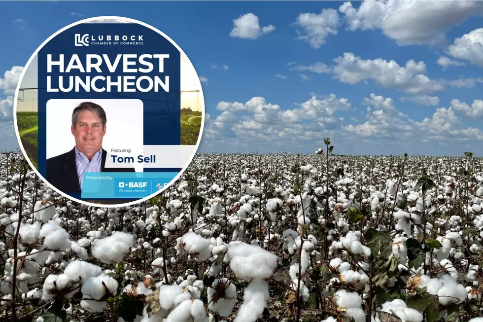 Tom Sell Brings Washington Agriculture Experience Back To Lubbock Luncheon