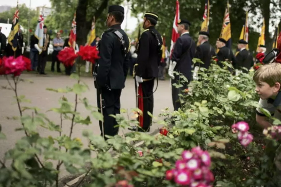 Roses To Honor American Military [VIDEO]