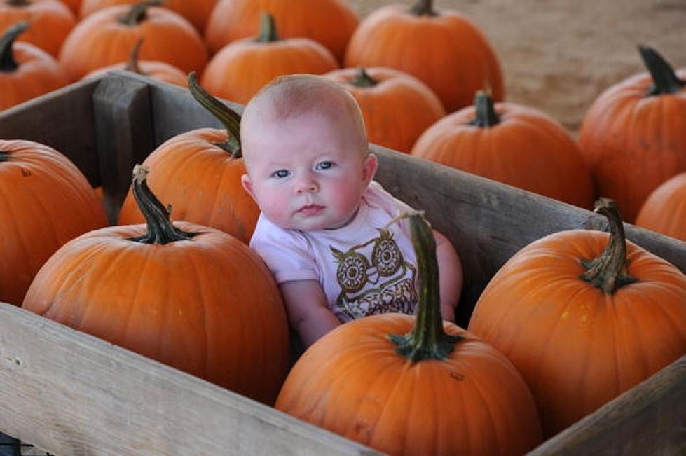 Halloween Events at Texas Tech and Lubbock for Everyone