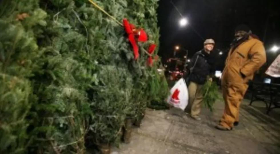 Need a Christmas Tree? Colorado Project Will Take Care of You!