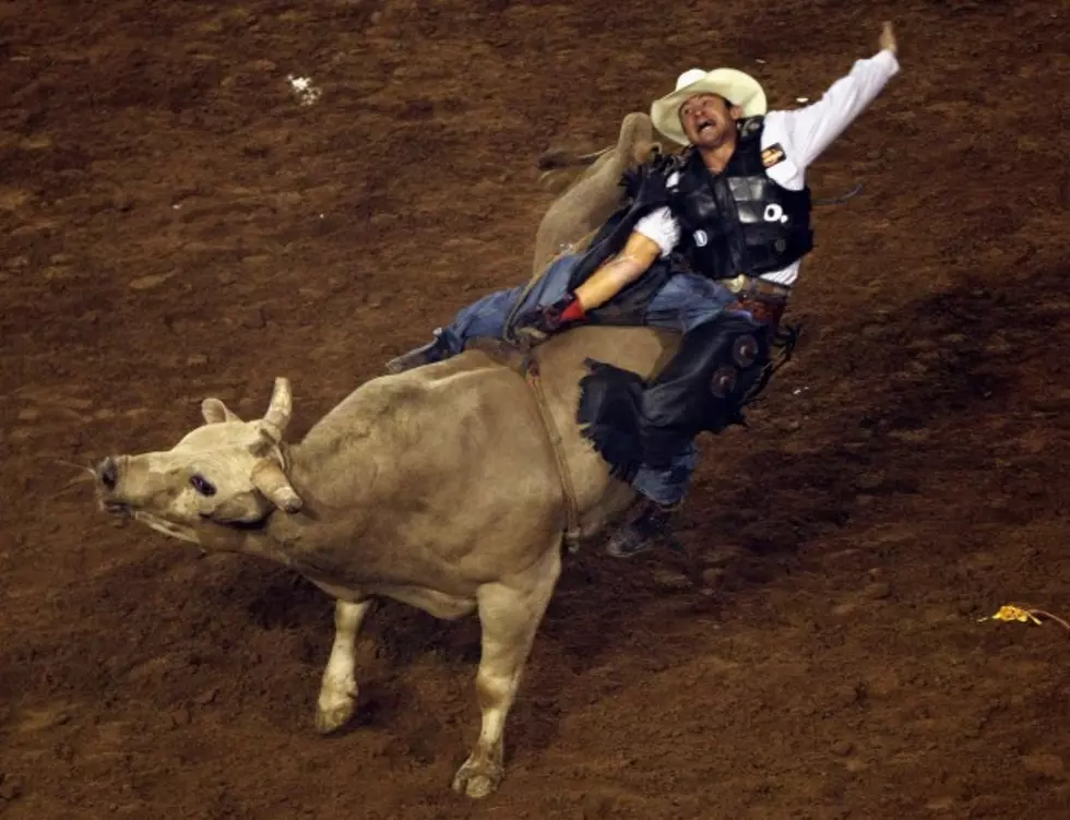 The History of Bull-Riding-&#8220;Who&#8217;s Bright Idea Was This?!&#8221;