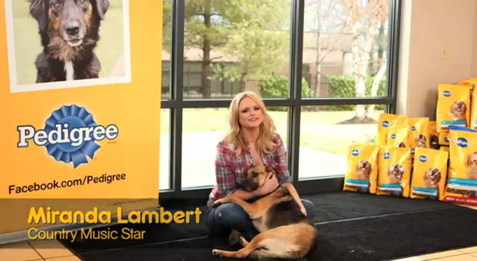 Miranda Lambert Partners with Pedigree [VIDEO]