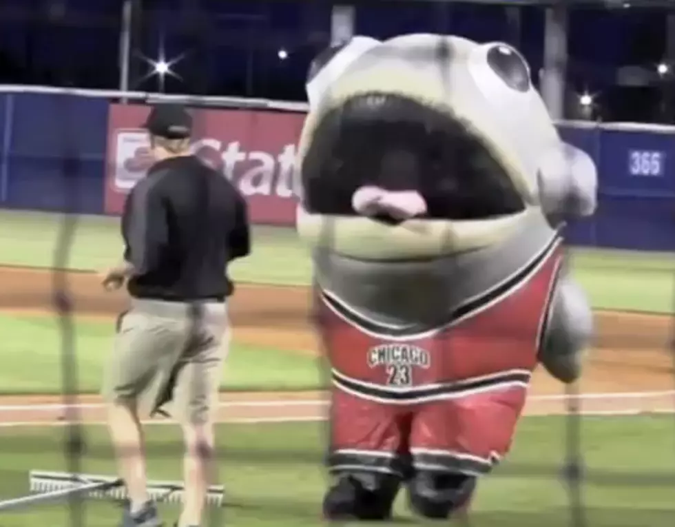 Mascot Eats Worker [Video]