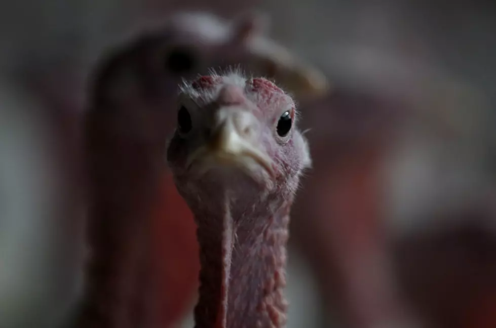 Rolling Stone Posted Their Top Thanksgiving Songs. Are yours On The List? [VIDEO]
