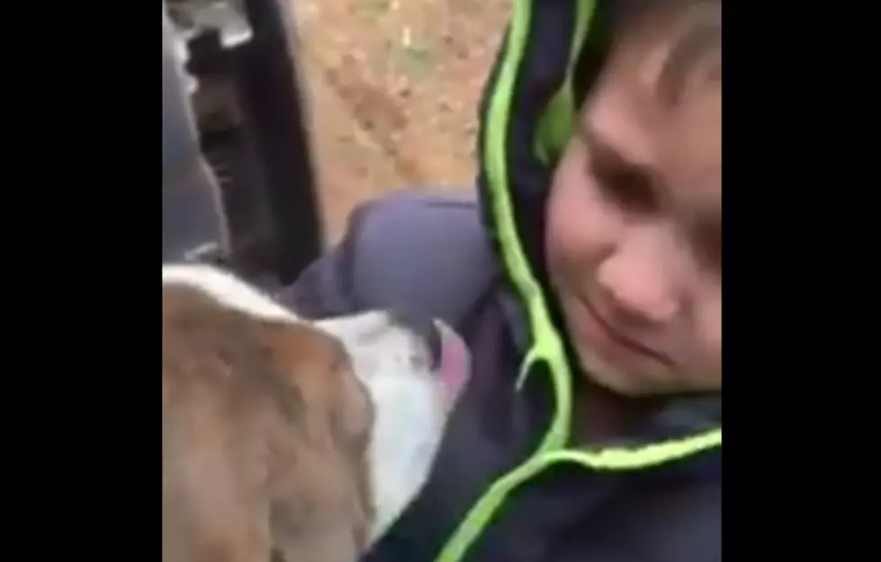 Video of Lubbock Boy Reuniting With His Lost Dog Goes Viral