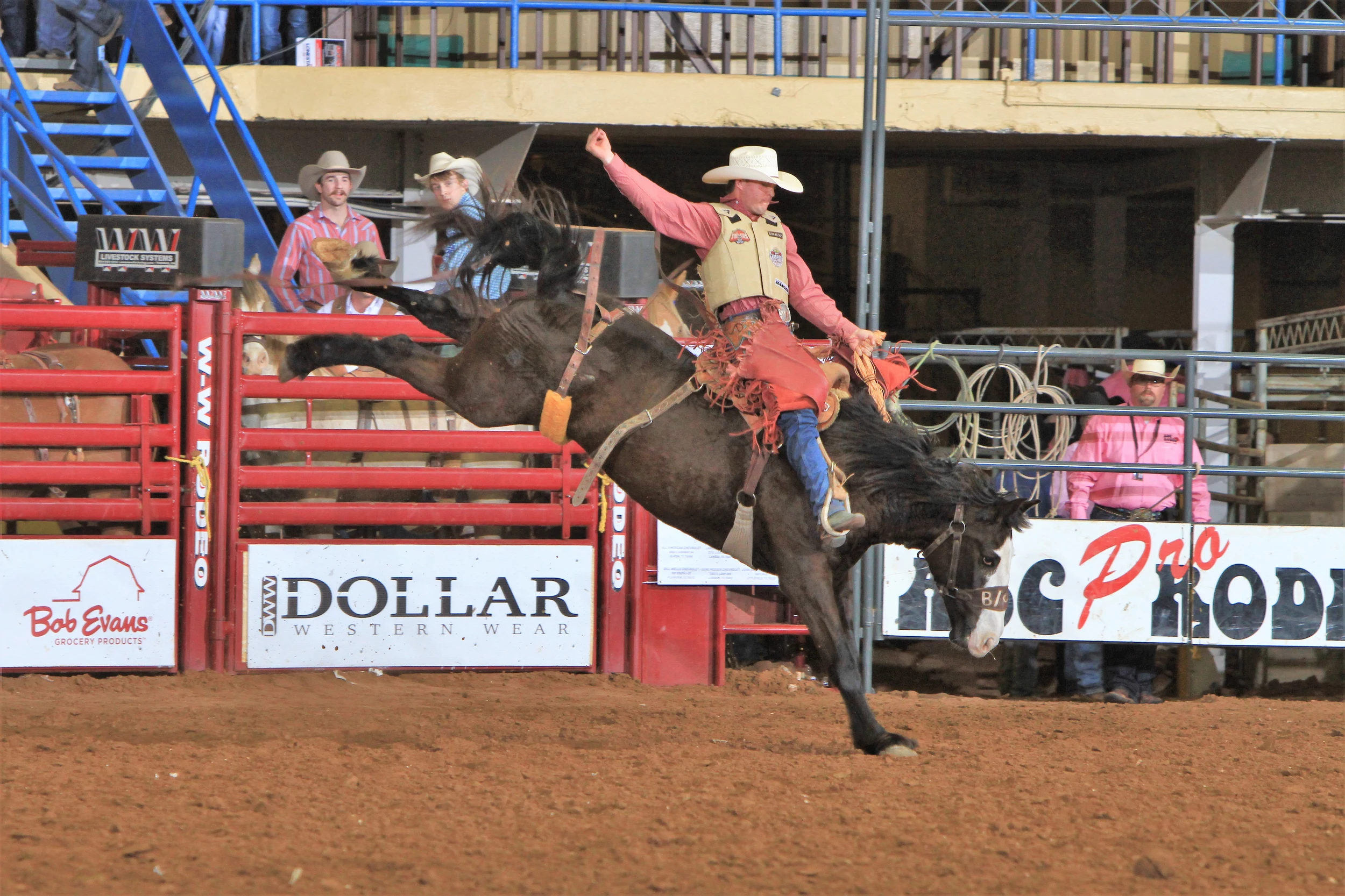 Get Wild The ABC Pro Rodeo Is Back and Better Than Ever