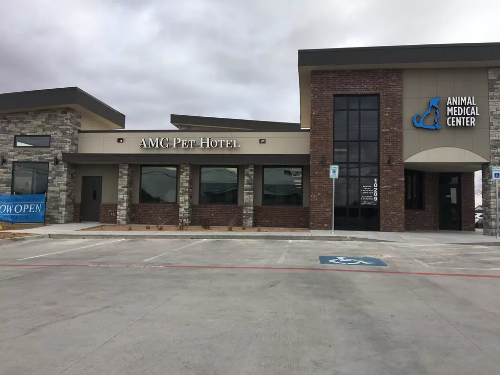 Lubbock’s Animal Medical Center Is Now Celebrating a Brand New Location