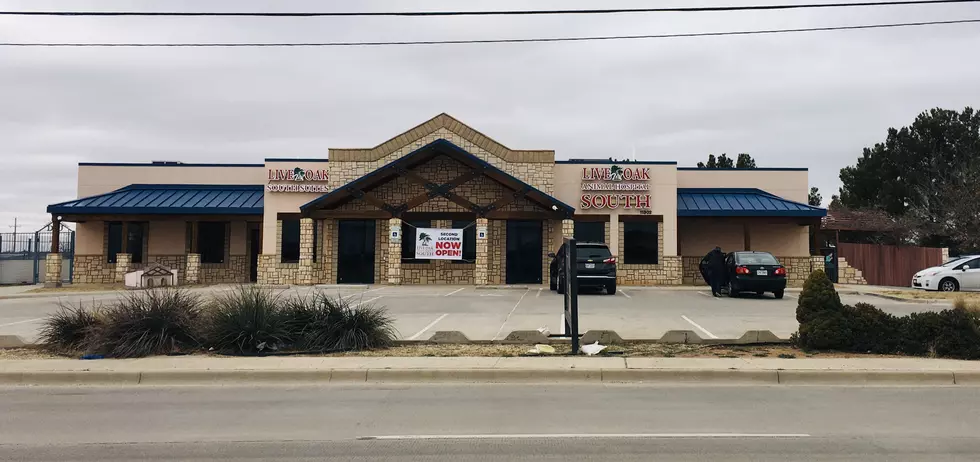 Live Oak Animal Hospital&#8217;s New Location Is Now Open