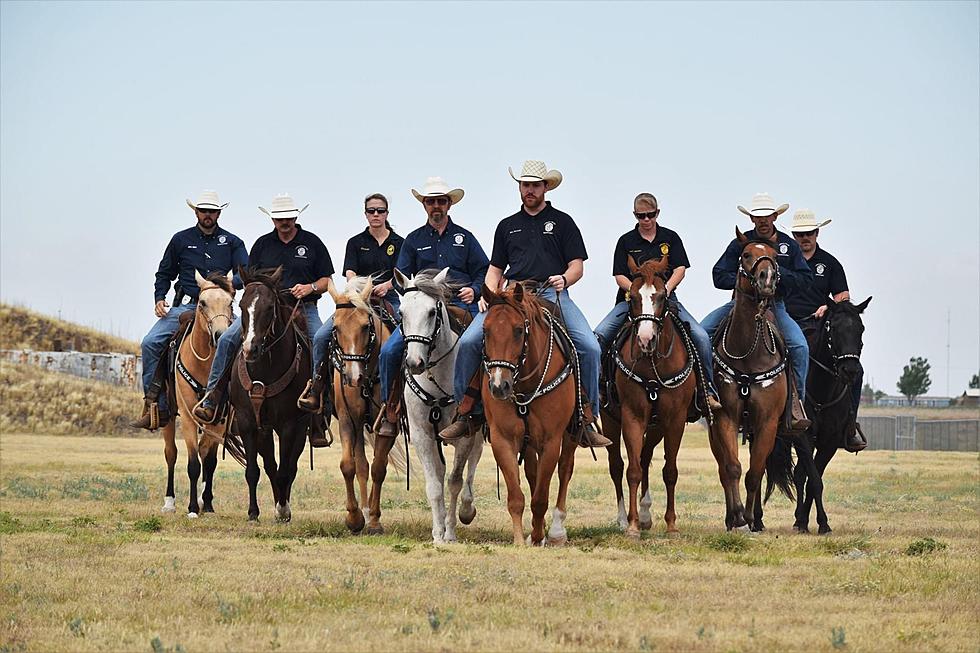 National I Love Horses Day Is This Week And Our Lubbock Mounted Patrol Deserves A Salute