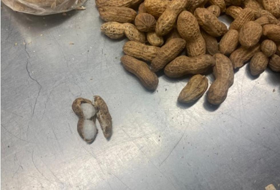 Meth Peanuts Destined for Texas Are Seized by Customs and Border Protection