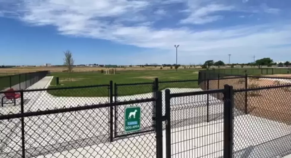 McAlister Dog Park Now Has a Grand Opening Date