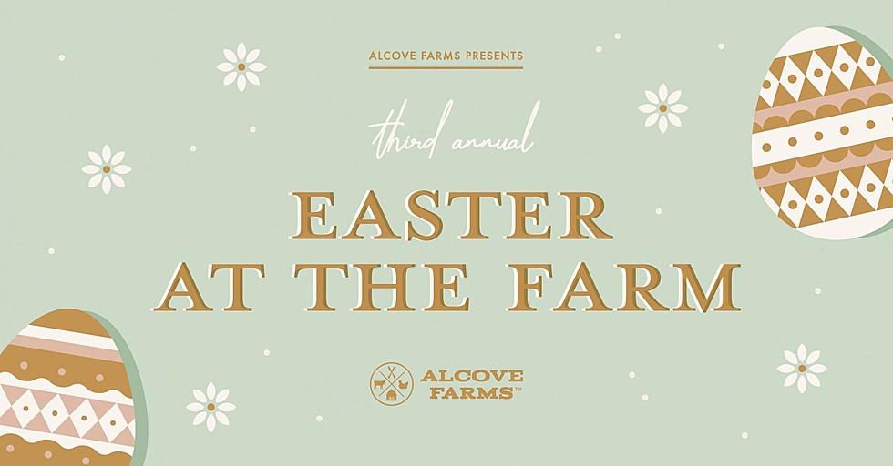 Alcove Farms Extra Large Eggs - Alcove Farms