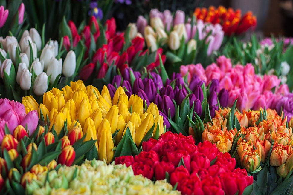 Lubbock Store Is Giving Away Free Flowers For Mother’s Day