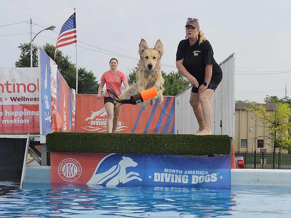 This Pool Party Is Perfect For Lubbock Residents &#038; Their Pups