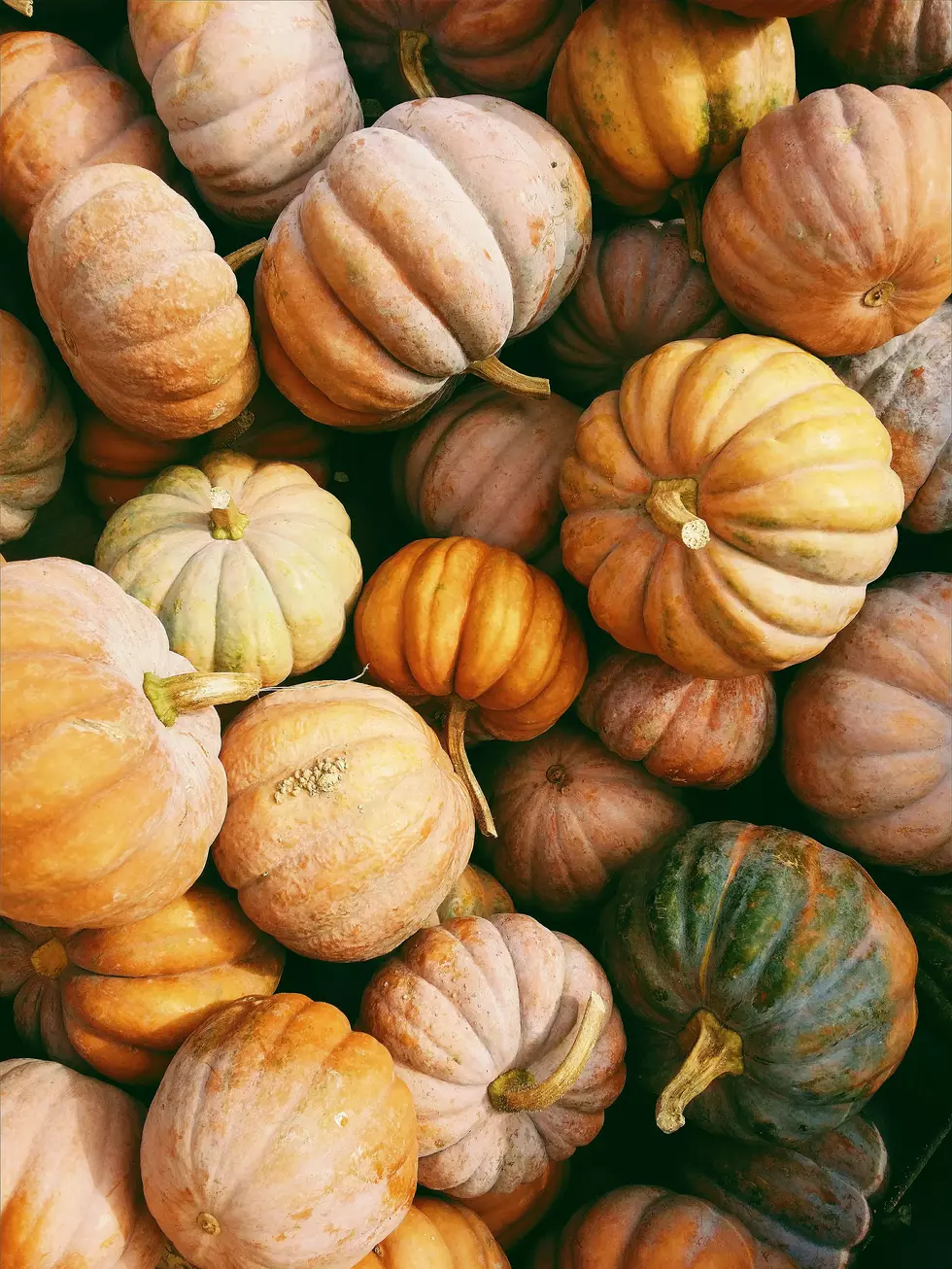 Lubbock Fall Guide 2024: What To Do In Lubbock In The Fall?