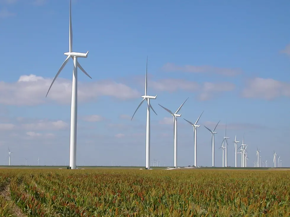 Over-dependence on Wind Power Causes Energy Emergency in Texas