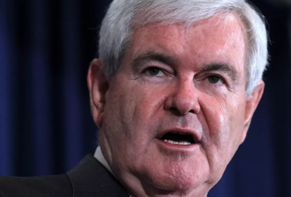 Gingrich Picks Up Delegates in Georgia