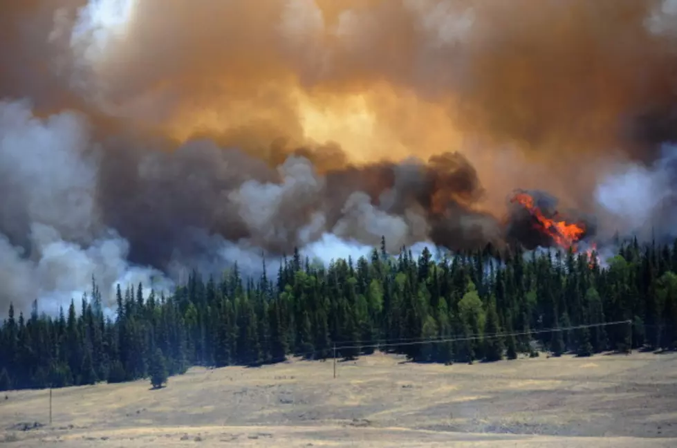Seasonal Residents in Lincoln County Affected by Little Bear Fire Urged to Clear Debris