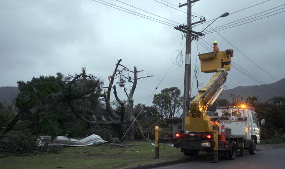 LP&L Contact For Power Lines on Trees