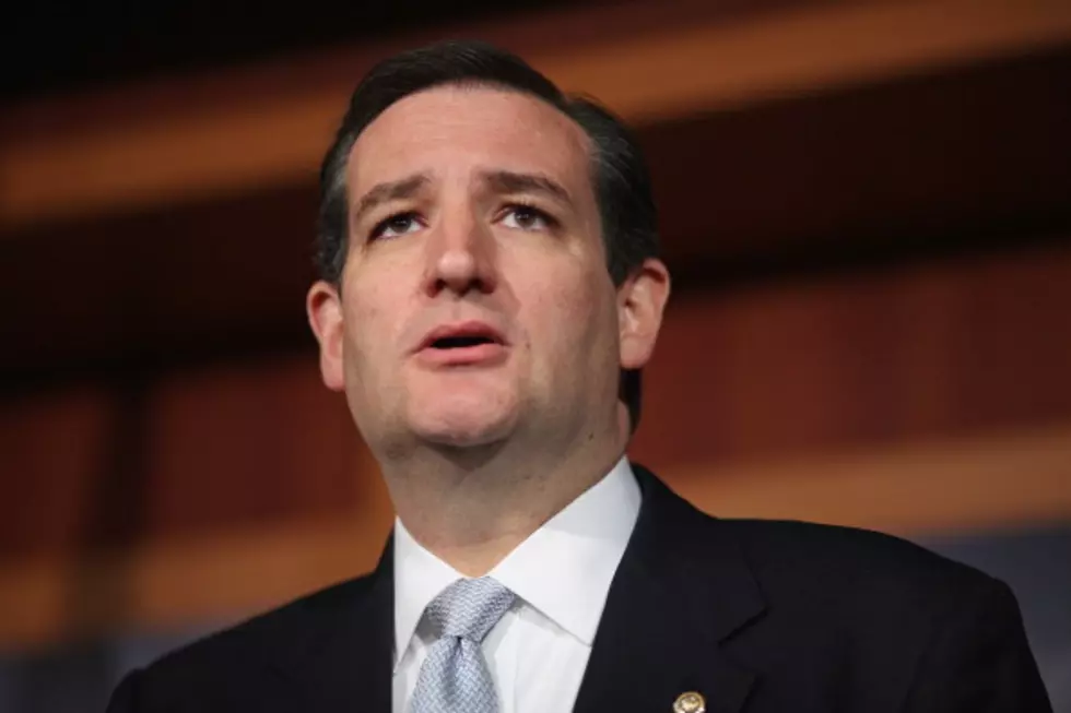 U.S. Senator Ted Cruz Discusses Gun Control [AUDIO]
