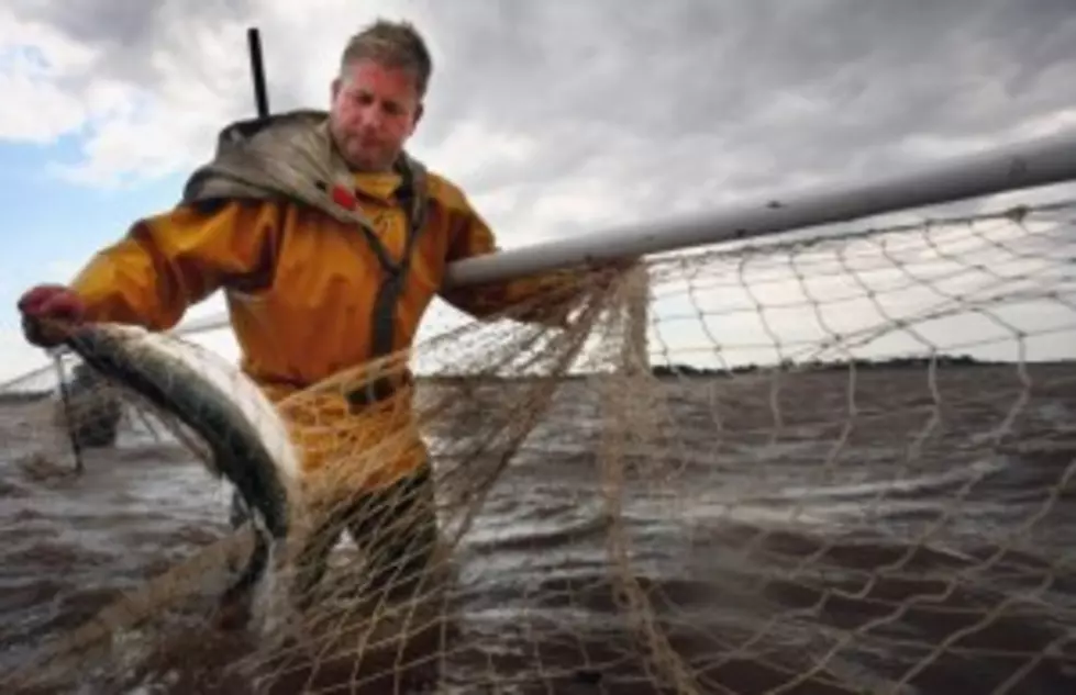 60 mm Mortar found in Fishing Net Destroyed by Victoria Police