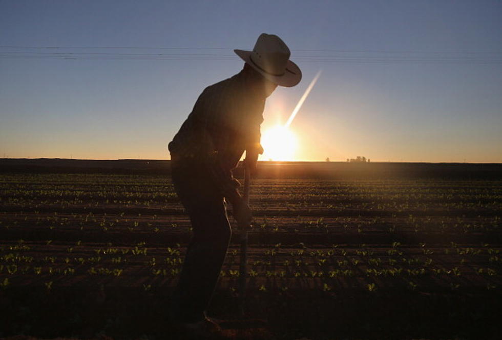 Slaton FFA and Chic-Fil-A Fundraise for South Plains Food Bank [Audio]