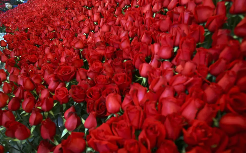 Pruning Roses