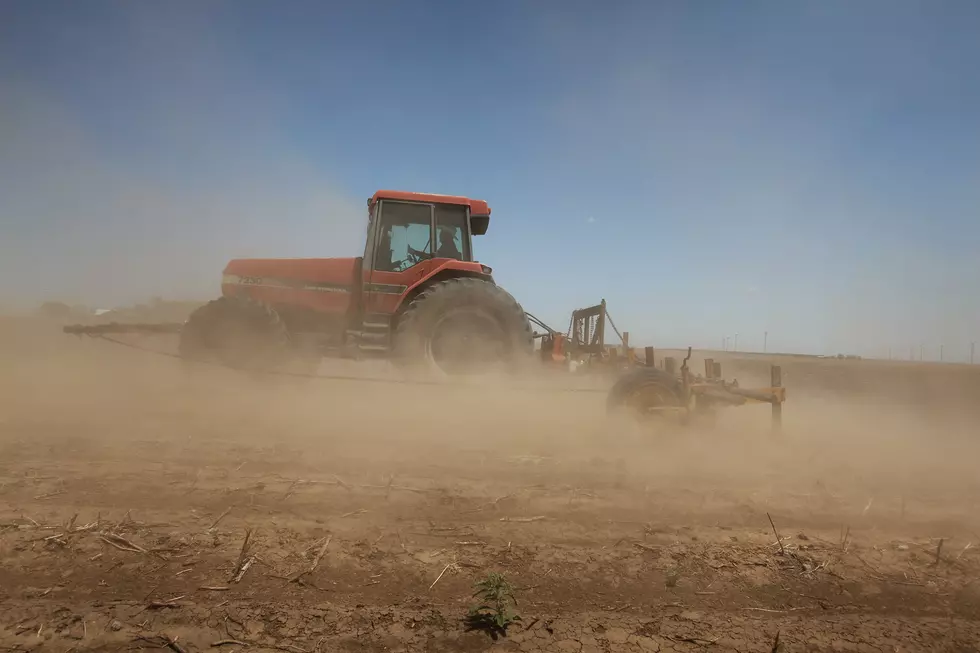 Take A Minute To Thank A Lubbock Farmer Today