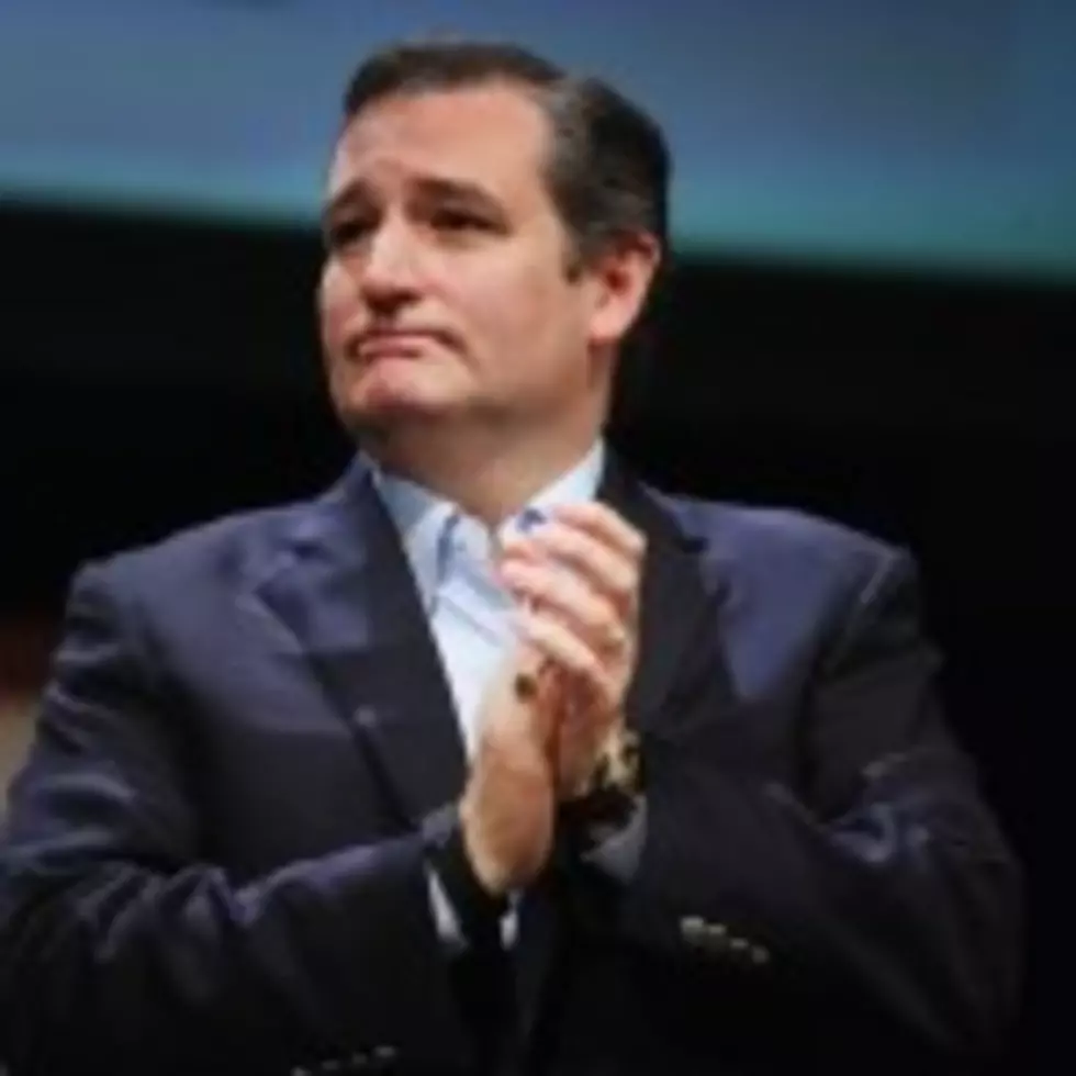 Senator Ted Cruz Says Majority Leader Mitch McConnell Told a &#8216;Flat-Out Lie&#8217; [VIDEO]